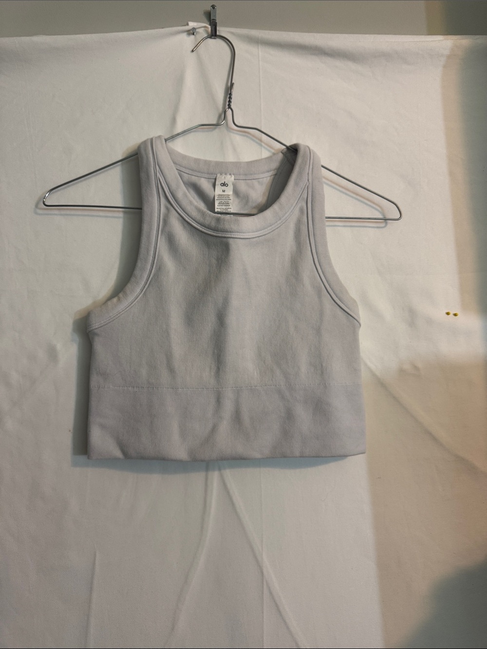 ALO Yoga Light Gray Ribbed Crop Tank
